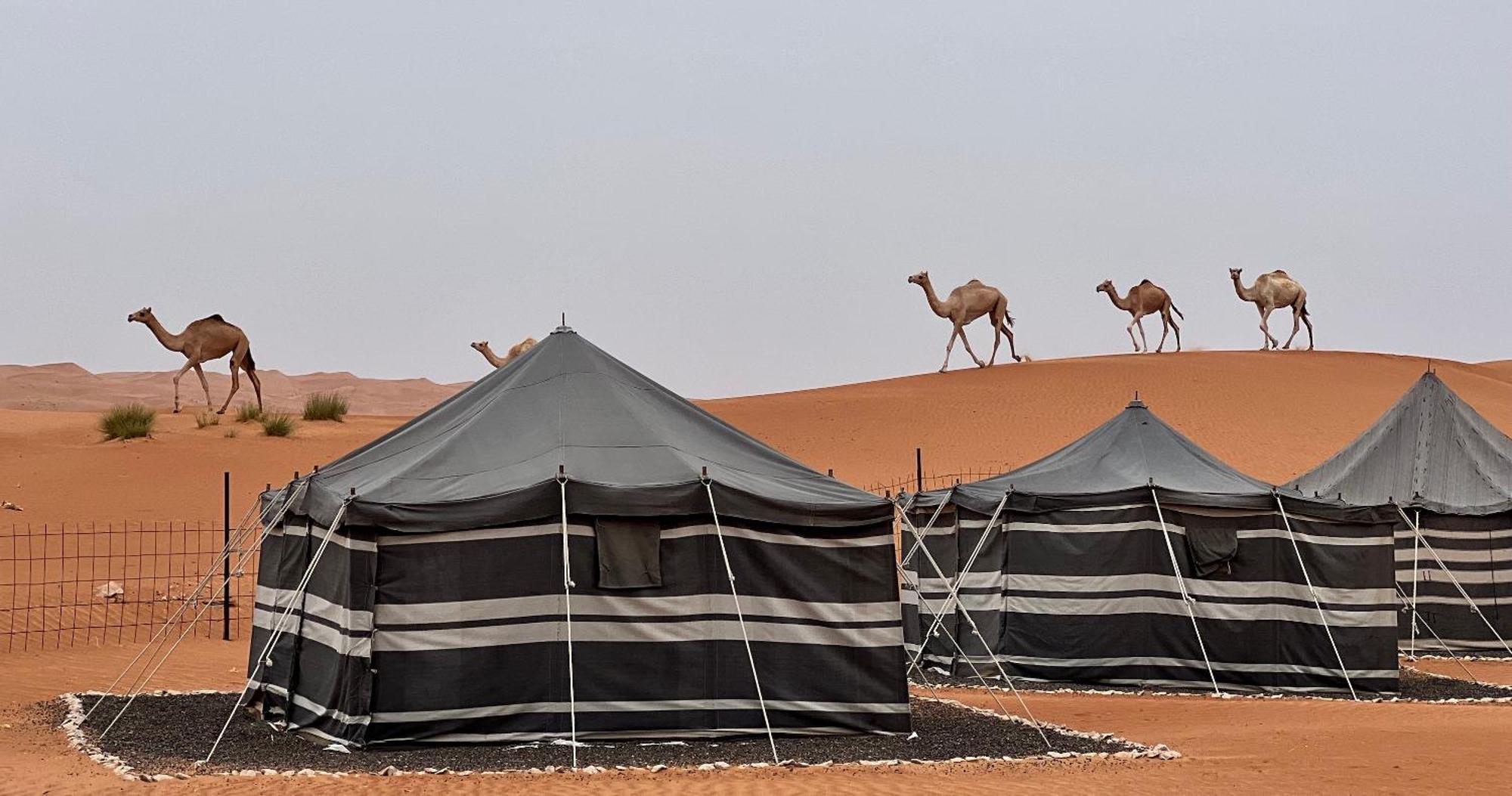 Desert Private Camp - Bedouin Camp