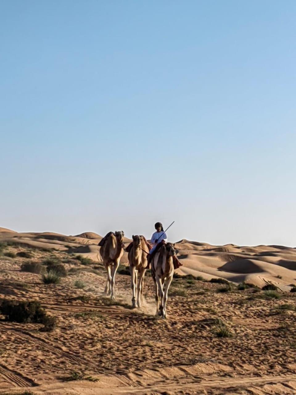 Desert Private Camp - Bedouin Camp Campsite *